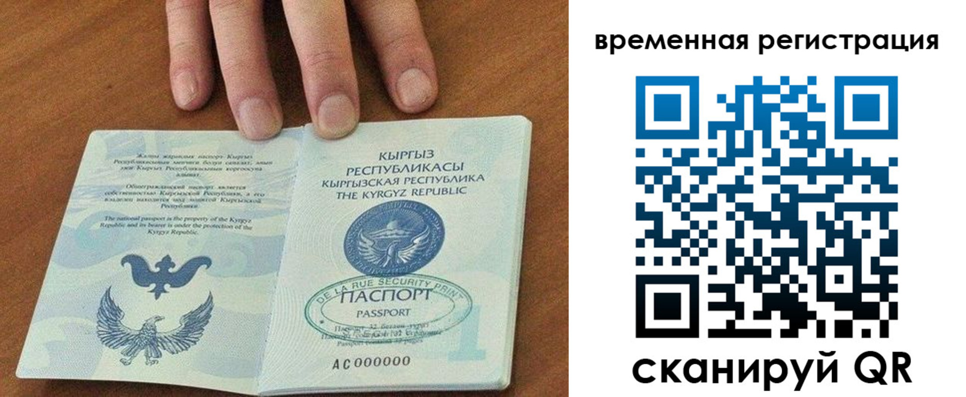 прописка регистрация в Михайловке